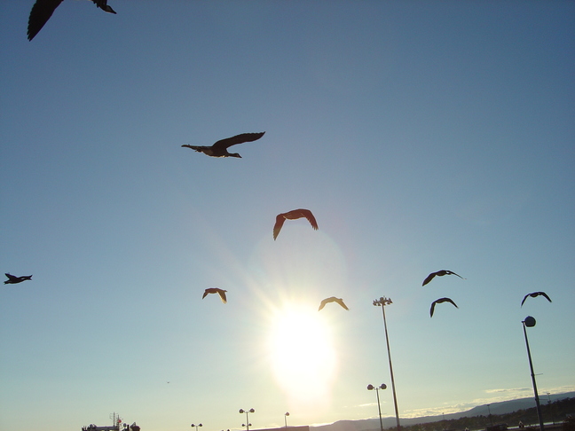 DSC01507
